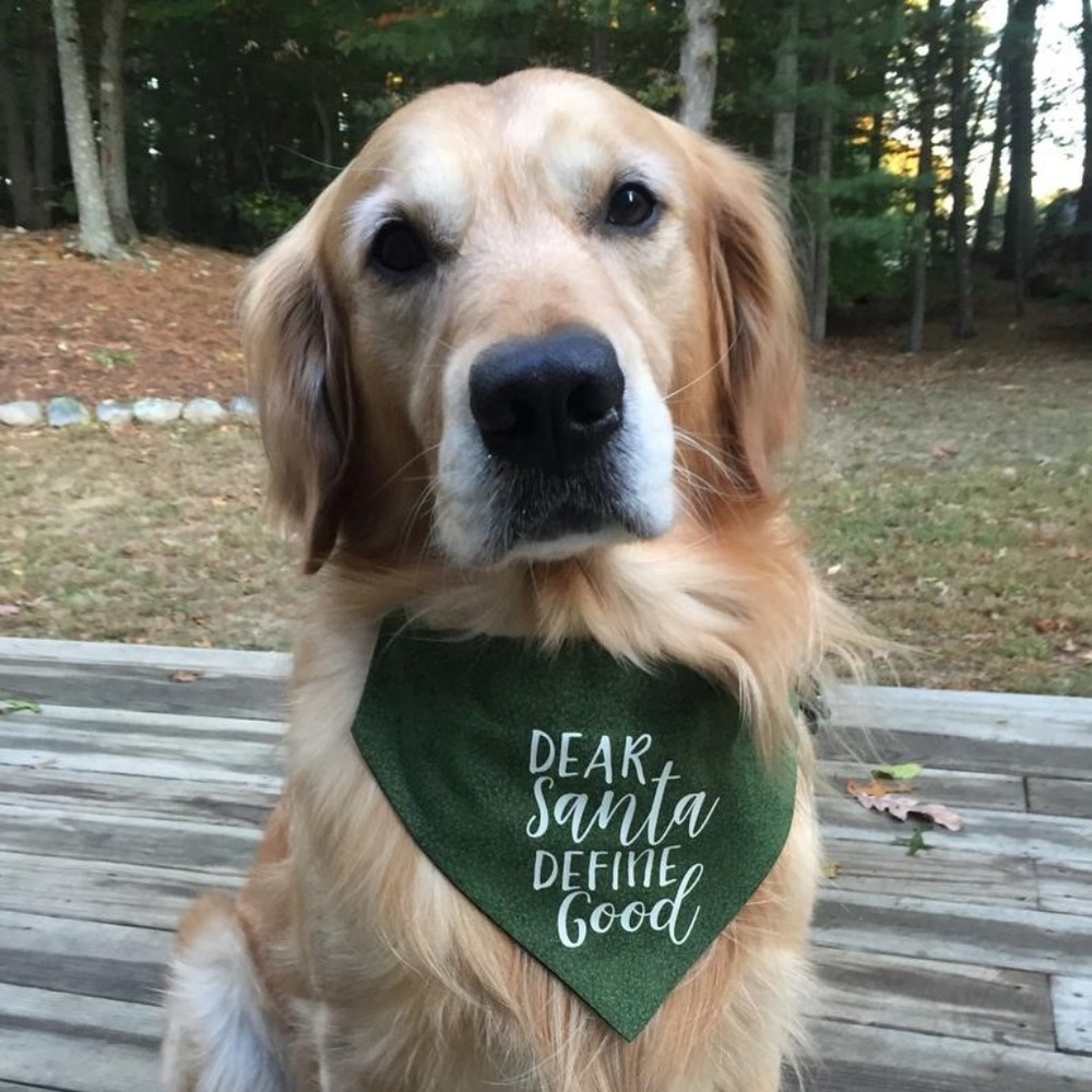Dog Bandana - Dear Santa Define Good - Large